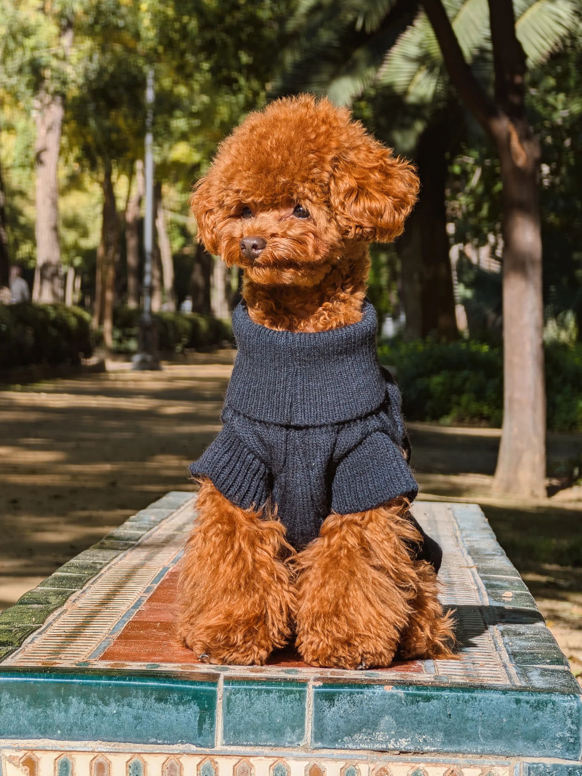 Miniatura 1